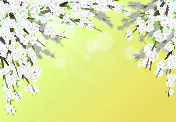Körsbärsblomma Illustration Full Blom Mot Ljusgrön Gradient Färg Bakgrund — Stock vektor
