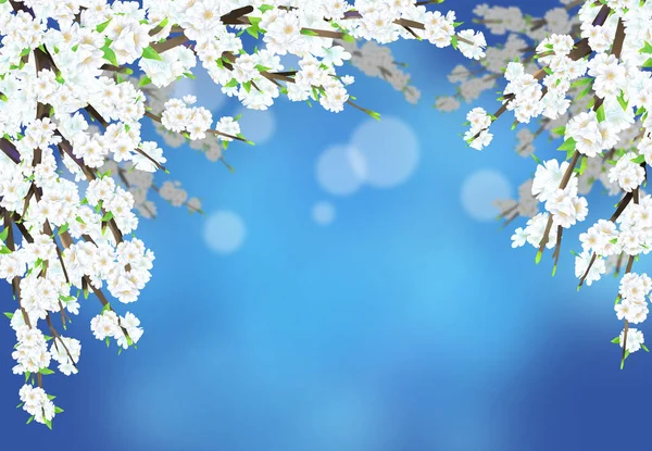 Cherry Květ Ilustrace Plném Květu Modrém Nočním Pozadí — Stockový vektor