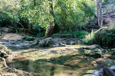 Seville İspanya 'nın Sierra Norte ilinde, sonbaharda Galerideki orman dereyle kesişti.