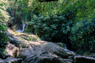 Seville İspanya 'nın Sierra Norte ilinde, sonbaharda Galerideki orman dereyle kesişti.