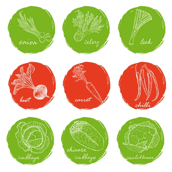 Σκίτσα από διάφορα λαχανικά — Διανυσματικό Αρχείο
