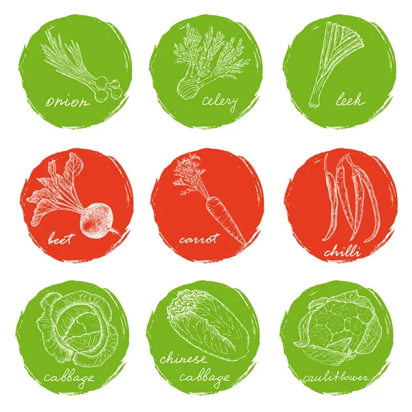 Bocetos de varias verduras — Vector de stock