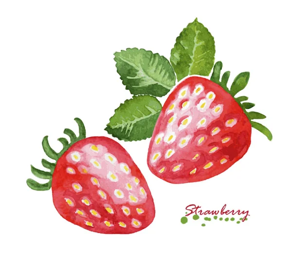 白色背景的水彩草莓. — 图库矢量图片
