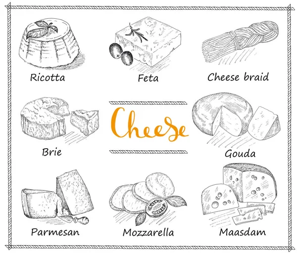 Cheese set vintage illustration. — Stock Vector