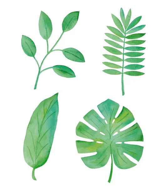 Aquarelgroen blad. — Stockvector