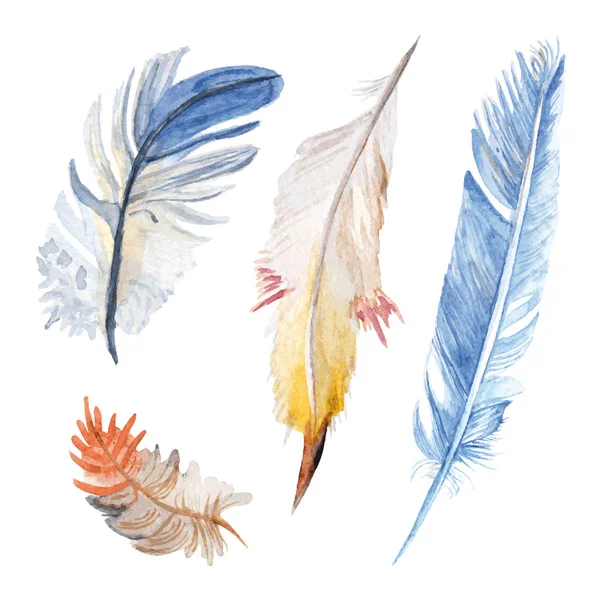 Watercolor bird four various feathers — Stock Vector