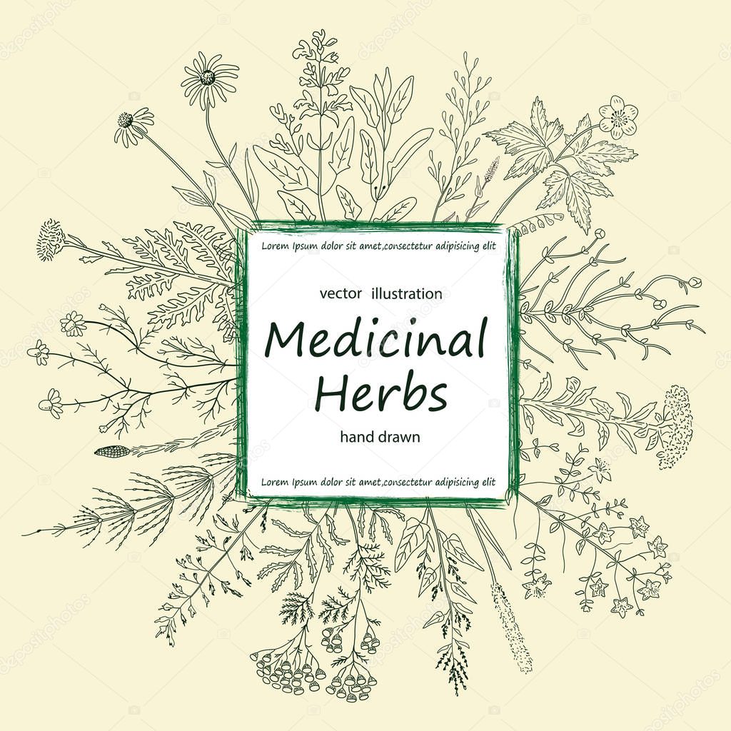 Card of a medicinal herbs and flowers.