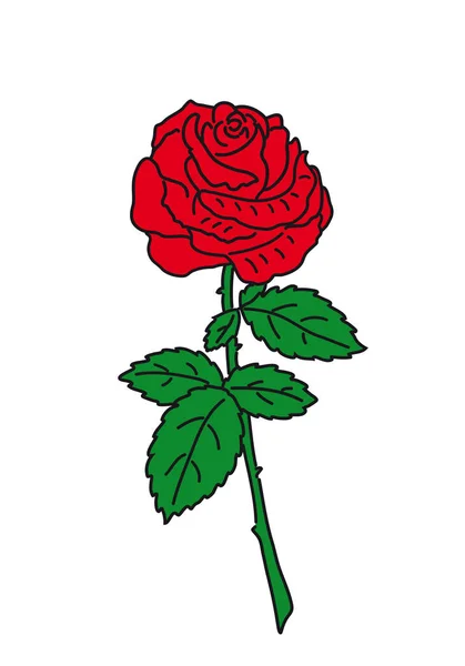 Rote Blumen Rosen — Stockvektor