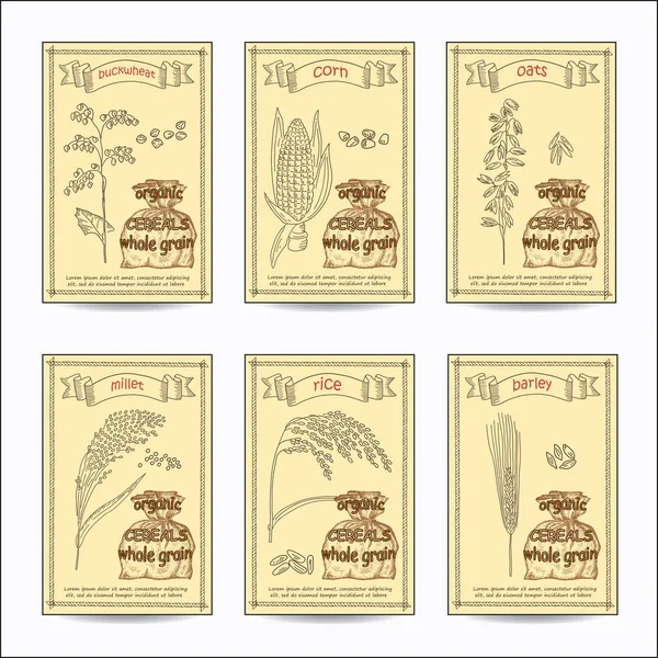 Szkicowane ręcznie rysowane zbóż karty zestaw. — Wektor stockowy