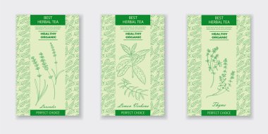 En iyi bitki çayı. Vektör Lavanta, Lemon Verbena, Kekik