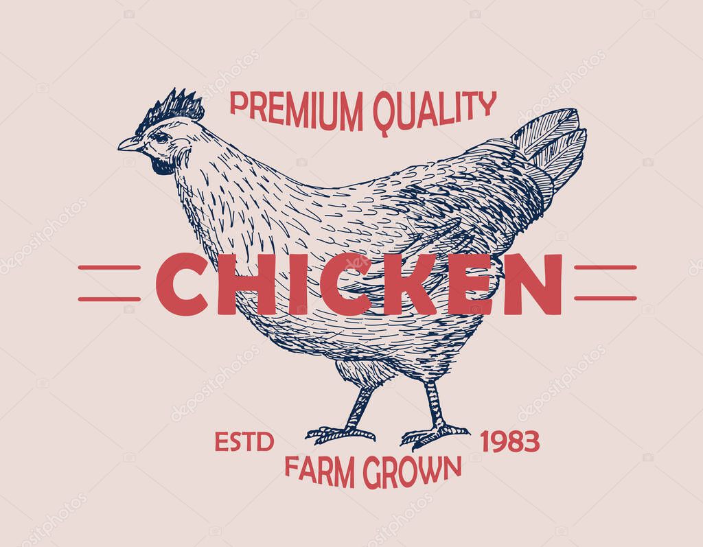 Premium quality chicken farm. Vector illustration emblem or logo template. Vintage design with hand drawn sketch. Line art style.