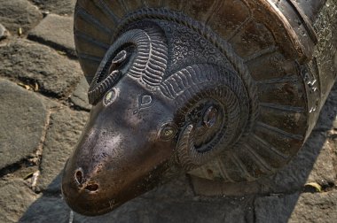 hayvan, zürafa, otobur, uzun, memeli, doğa, boyun, park, uzun, vahşi yaşam