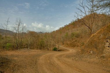 28 Haziran 2012 Orman Durt Yolu Kevadiya Kolonisi Sardar Sarovar Narmada Barajı yakınında GUJARAT INDIA asia
