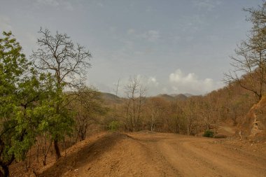 28 Haziran 2012 Orman Durt Yolu Kevadiya Kolonisi Sardar Sarovar Narmada Barajı yakınında GUJARAT INDIA asia