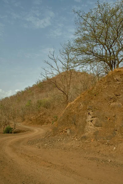 Haziran 2012 Orman Durt Yolu Kevadiya Kolonisi Sardar Sarovar Narmada — Stok fotoğraf