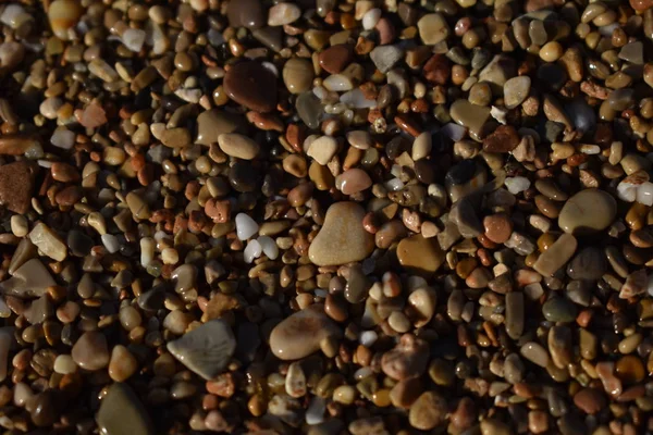 ビーチの様々な石 — ストック写真
