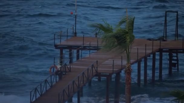 Heavy wind on a beach and storm at sea or ocean. — Stock Video