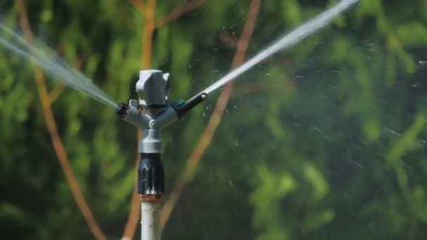 Arroseur tourne en cercle et pulvérise de l'eau . — Video