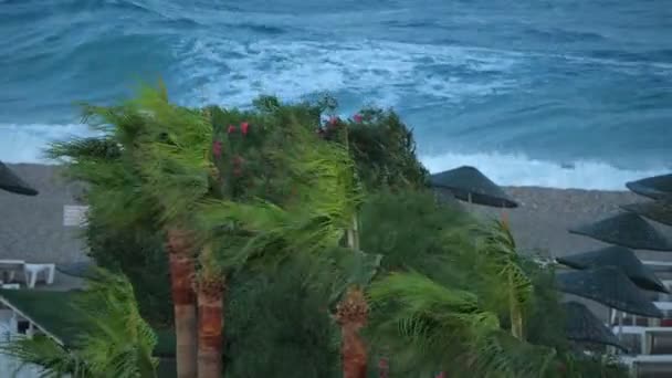 Vento forte su una spiaggia sabbiosa e tempesta in mare o mare . — Video Stock