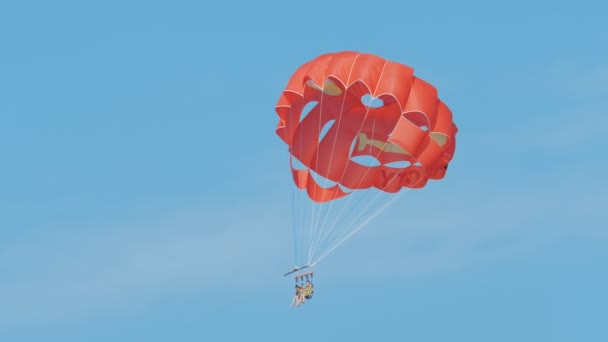 Twee toeristen vliegen per parachute hoog in de lucht. — Stockvideo