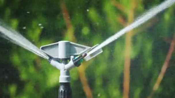 Sprinkler gira in cerchio e spruzza acqua . — Video Stock