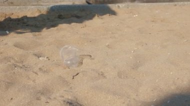 Çocuk parkından veya kumsaldan plastik çöpleri toplayan bir kız..