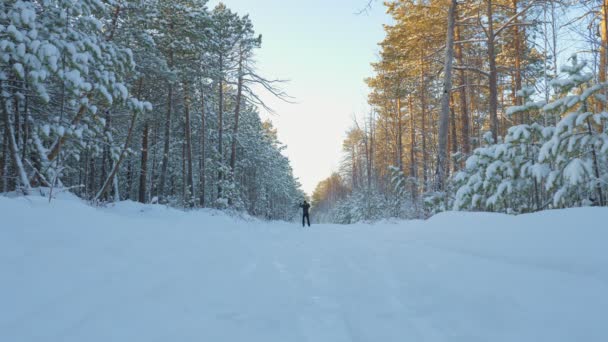 冬の森で若い男がスキーをしている。. — ストック動画