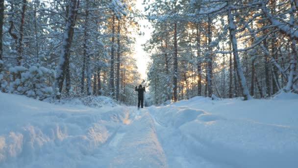 Un joven está esquiando en el bosque de invierno . — Vídeos de Stock