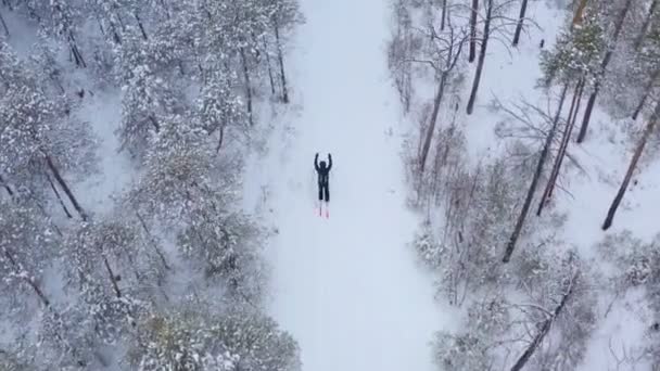 Egy fiatalember síel a téli erdőben. Légi felvétel. — Stock videók