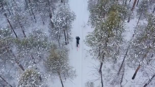 En ung man åker skidor i vinterskogen. Flygbild. — Stockvideo