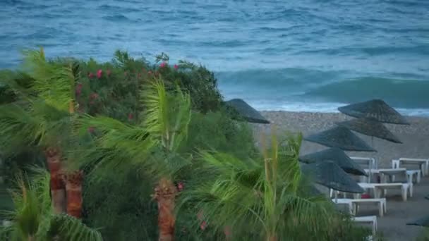 Erős szél a homokos tengerparton és vihar a tengeren vagy az óceánon. — Stock videók