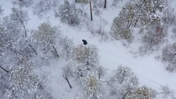 Молодой человек катается на лыжах в зимнем лесу. Вид с воздуха . — стоковое видео