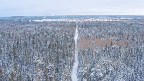 Грузовик с грузом на дороге среди снежных лесов — стоковое видео