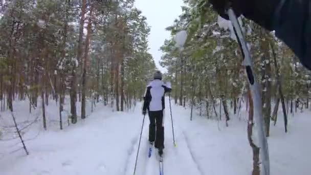 Невпізнавані лижники ходять у лісі. Перегляд від першої особи — стокове відео