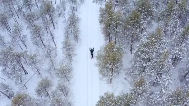 En ung man åker skidor i vinterskogen. Flygbild. — Stockvideo