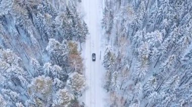 Yalnız araç kış ormanlarında yolda gidiyor.