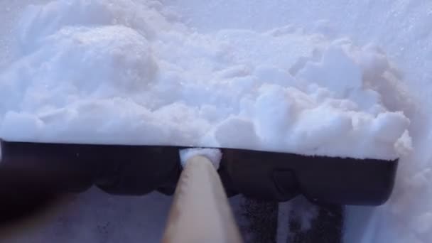 Persoon met schop verwijdert sneeuw uit tuin — Stockvideo