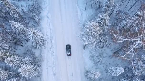 Μοναχικό όχημα οδήγηση στο δρόμο στο δάσος το χειμώνα — Αρχείο Βίντεο
