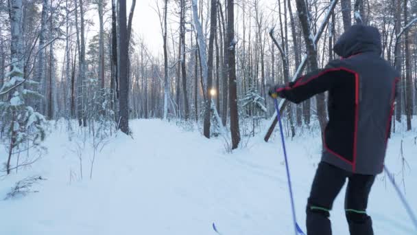 Un giovane sta sciando nella foresta invernale . — Video Stock