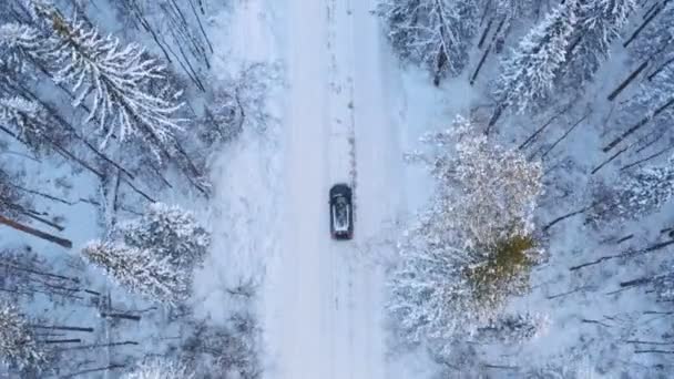 Veicolo solitario che guida su strada nella foresta invernale — Video Stock