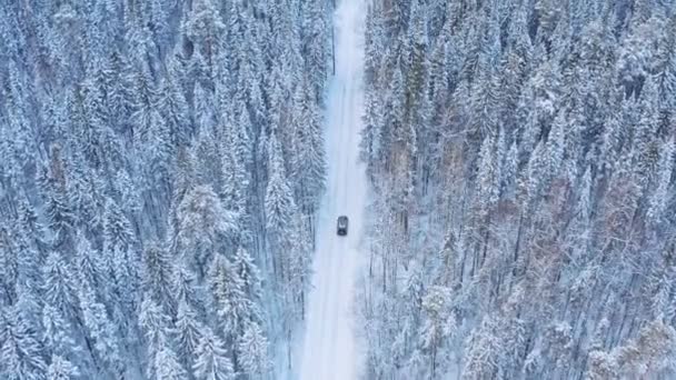 Veículo solitário dirigindo na estrada na floresta de inverno — Vídeo de Stock