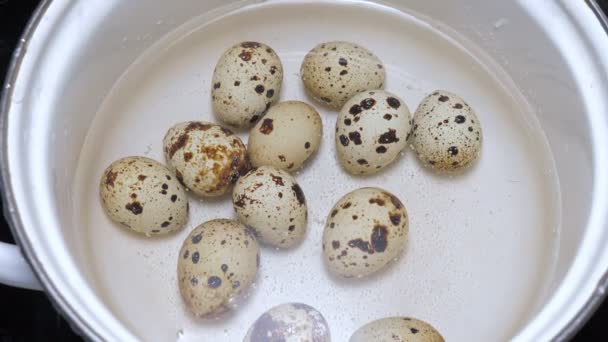 Quail eggs boiling in saucepan — Stock Video