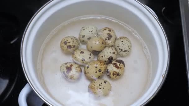 Quail eggs boiling in saucepan — Stock Video