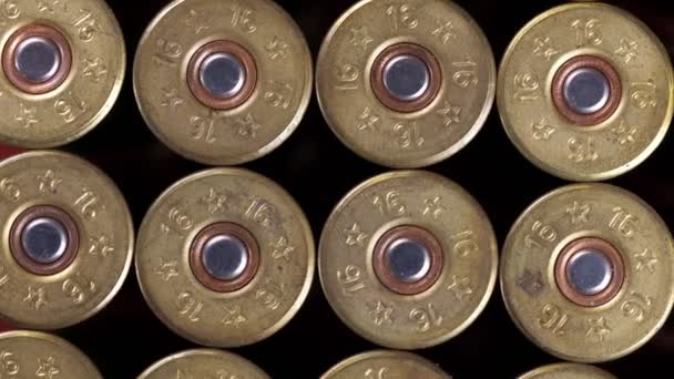 Set of shabby shotgun shells — Stock Video