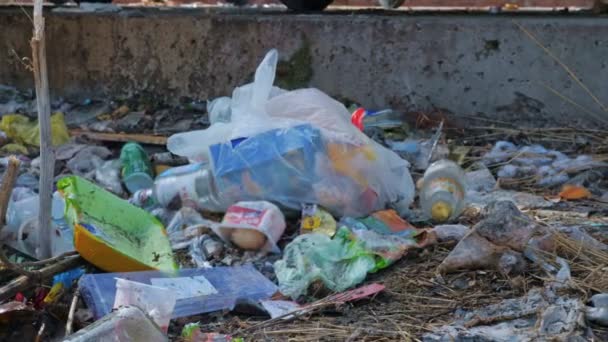 Déchets plastiques au milieu des brindilles sur le sol — Video