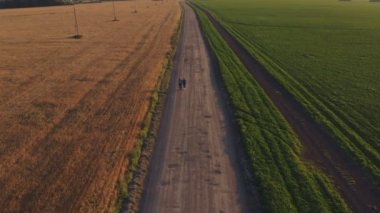 Hitchhikers and travelers, a young man with a girl, walk with backpacks on their shoulders along cereal fields sown with rye and wheat.