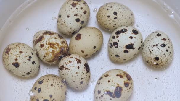 Quail eggs boiling in saucepan — Stock Video