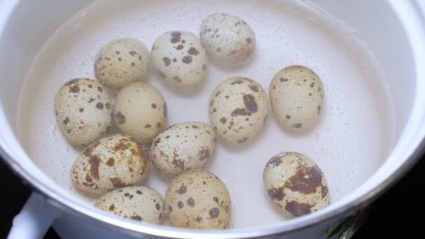 Quail eggs boiling in saucepan — Stock Video