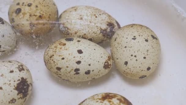 Quail eggs boiling in saucepan — Stock Video