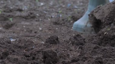 Bir çiftçi bahçesinde kürekle toprağı kazar.